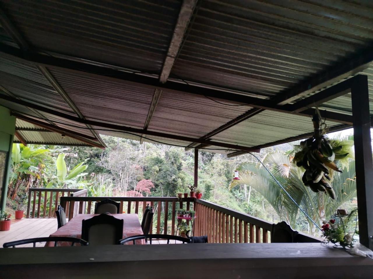 Bella Vista Guest House ตูร์เรียลบา ภายนอก รูปภาพ